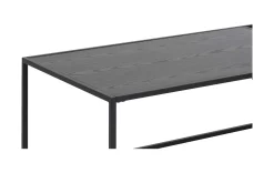 Couchtisch mit Zeitungsständer