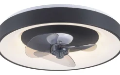 Deckenleuchte mit Ventilator