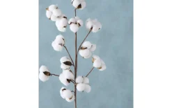 Dekozweig Baumwolle