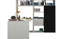 Home-Office-Kombination