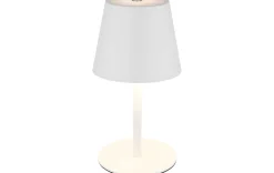 3IN1 LED AKKU-TISCHLEUCHTE