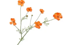 Kunstblumen - Cosmea