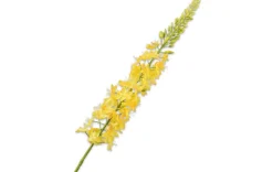 Kunstblumen - Kleopatra