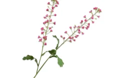 Kunstblumen - Primula