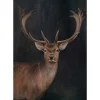 Ölbild Hirsch