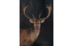 Ölbild Hirsch