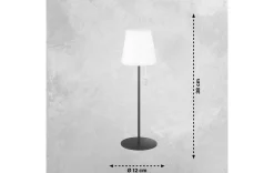 LED Akku-Tischleuchte