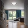 LED Deckenleuchte schwarz 29cm