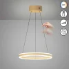 LED Pendelleuchte