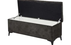 Moderne Truhenbank
