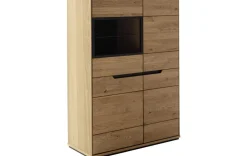Modernes Kombi-Highboard