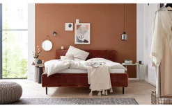 Modernes Polsterbett