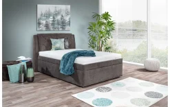 Modernes Polsterbett