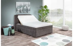 Modernes Polsterbett