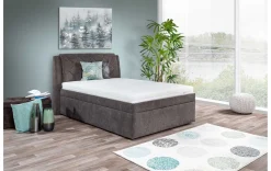 Modernes Polsterbett