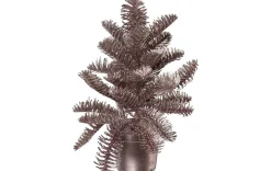 Nobilistannenbäumchen