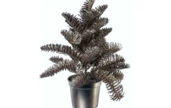 Nobilistannenbäumchen