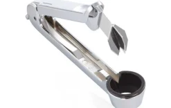 Pflaumensteinentferner