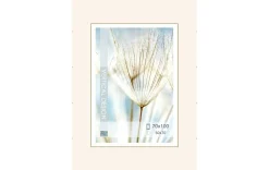 Rahmenloser Bilderhalter 70x100cm