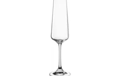 Sekt Glas 220ml
