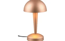 Tischleuchte - Canny