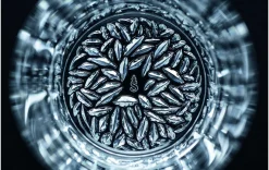 Whiskybecher Set 4 Stk.